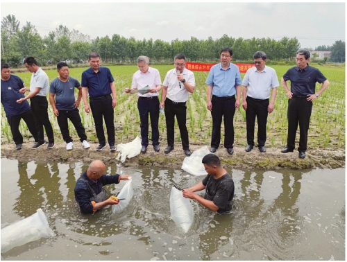 怎么养虾才能赚钱,怎样养虾比较赚钱