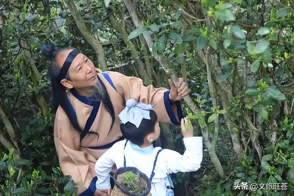 旺苍六大茶乡,个个香飘万里!看看你最熟悉哪几个?