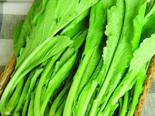 春分几月几日,春分节气适合穿啥衣服