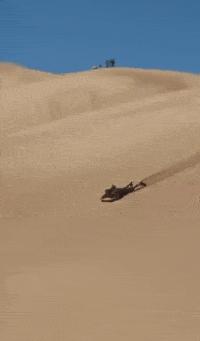 每日一笑逗乐妹子,每日一逗完整版