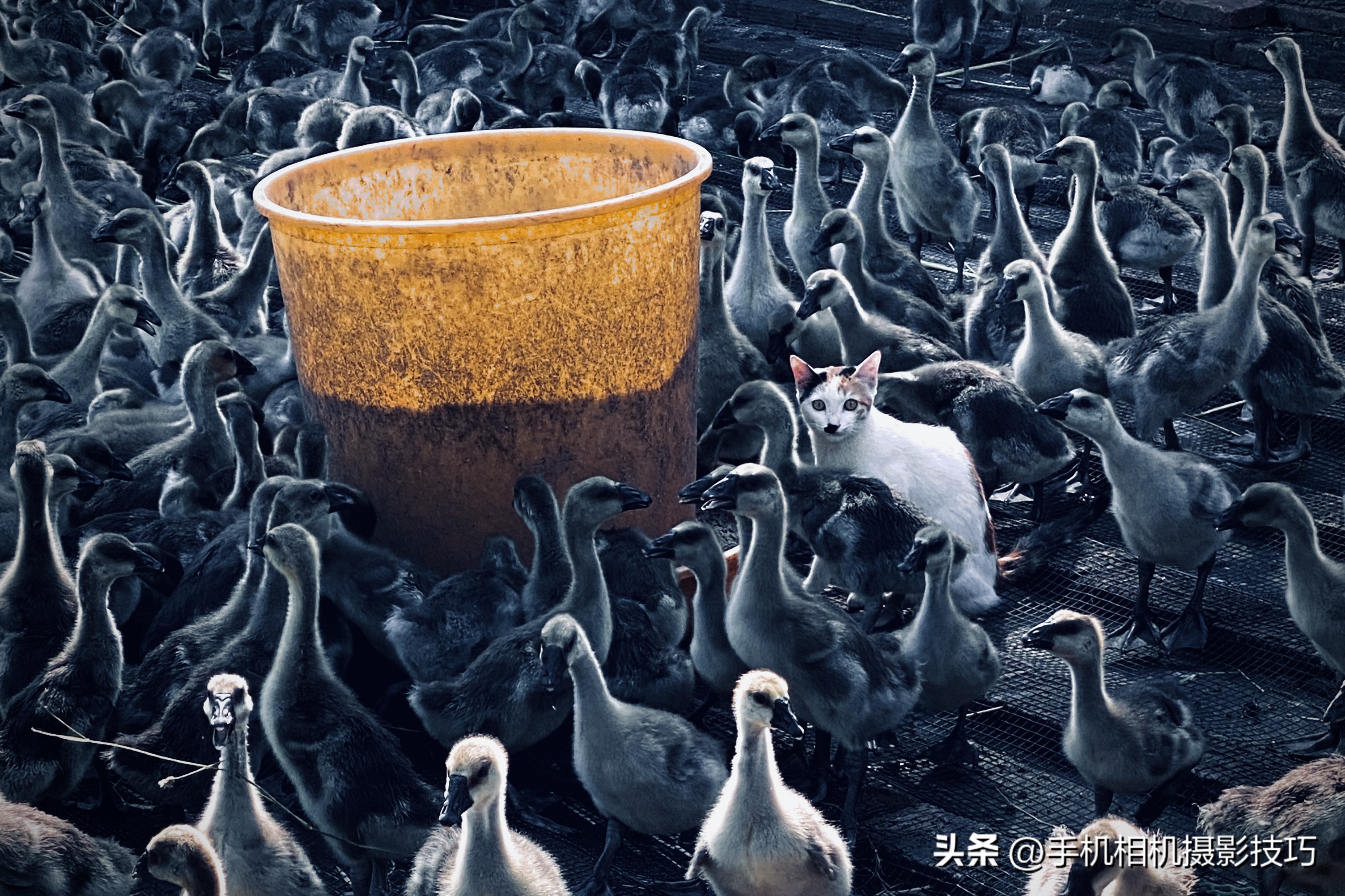 用一百年前的方式感受摄影的魅力,摄影就是有着独特的魅力