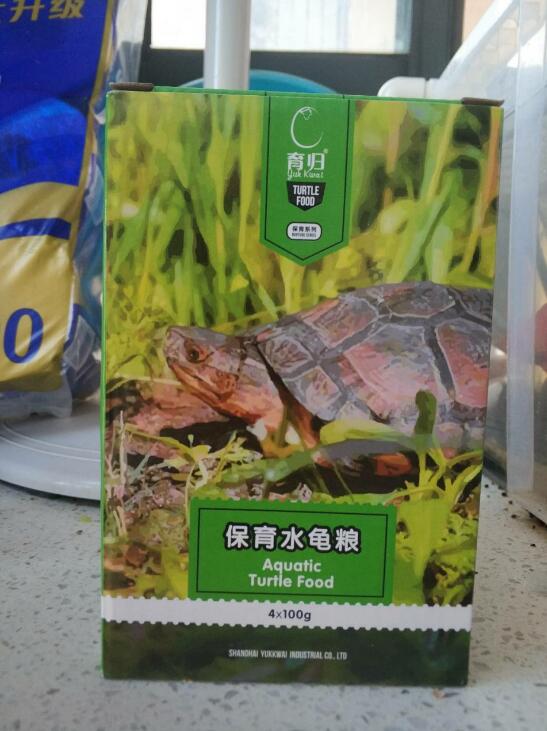 养乌龟新手推荐,龟用品