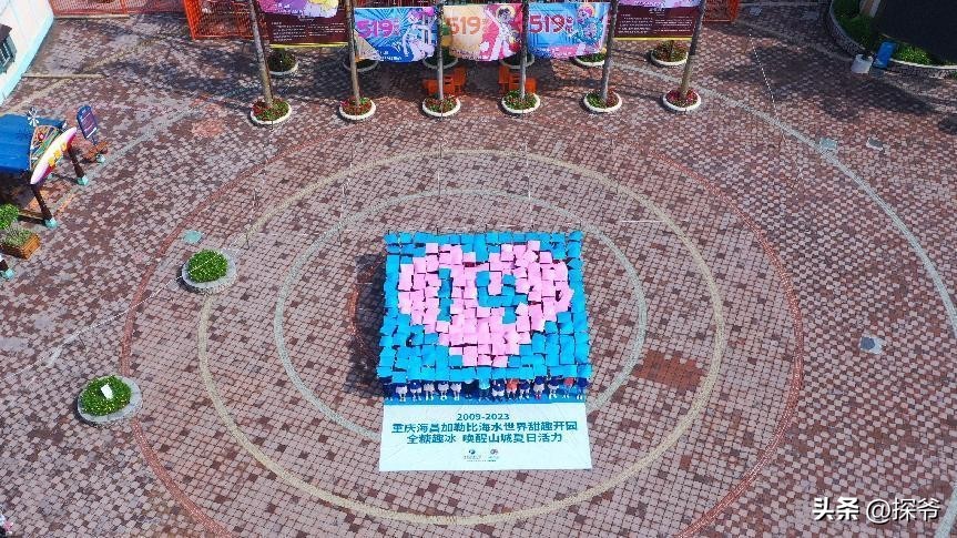 重庆加勒比海水世界在哪儿,重庆海昌加勒比水世界夜场