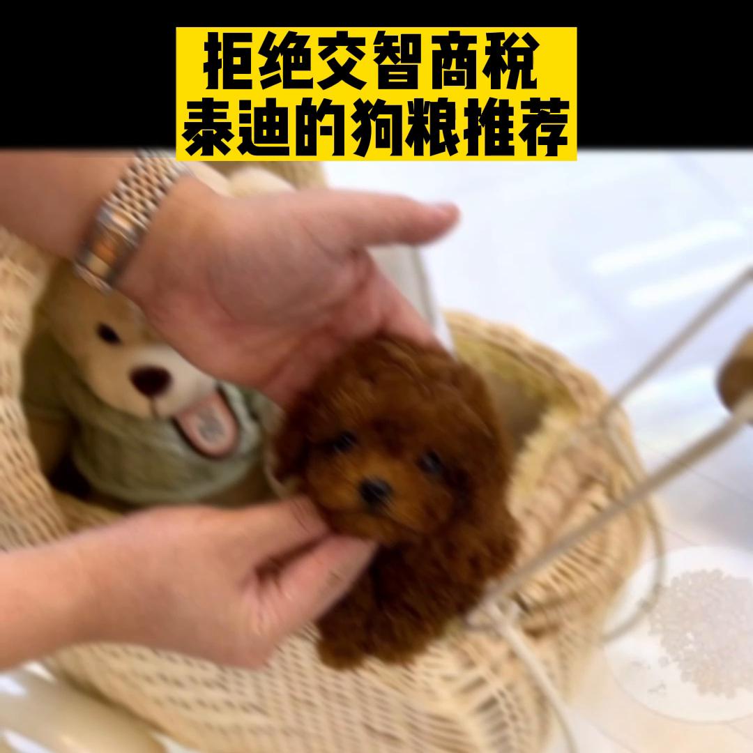 便宜又好吃的狗粮推荐泰迪,大龄泰迪狗粮推荐