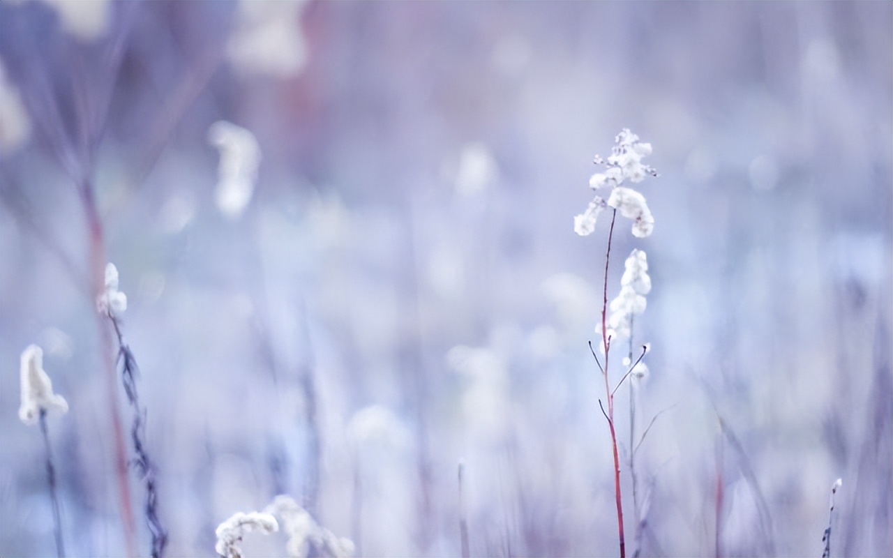 一个女人的品味看她的鞋子,一个女人过得好不好很容易看出来