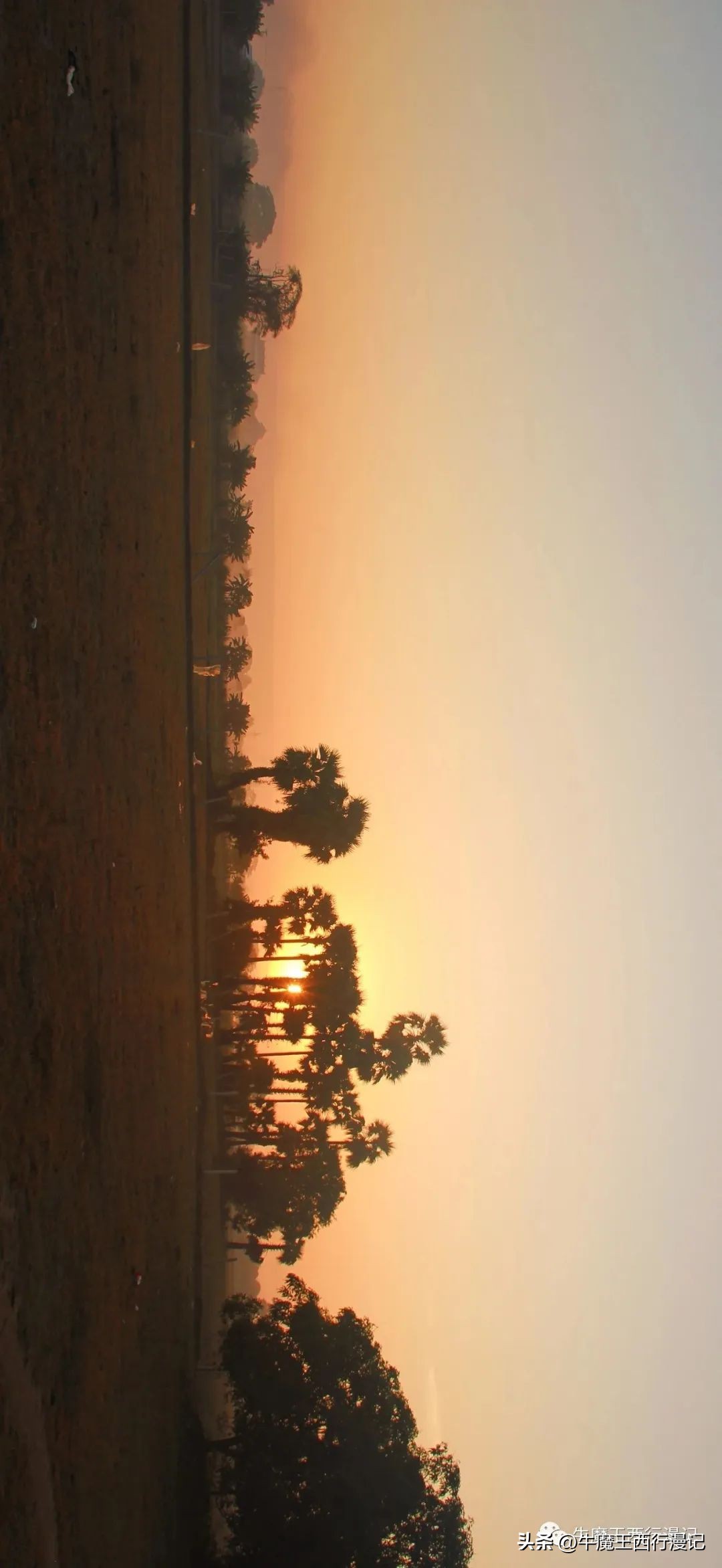 朝霞最美,最美朝霞歌曲