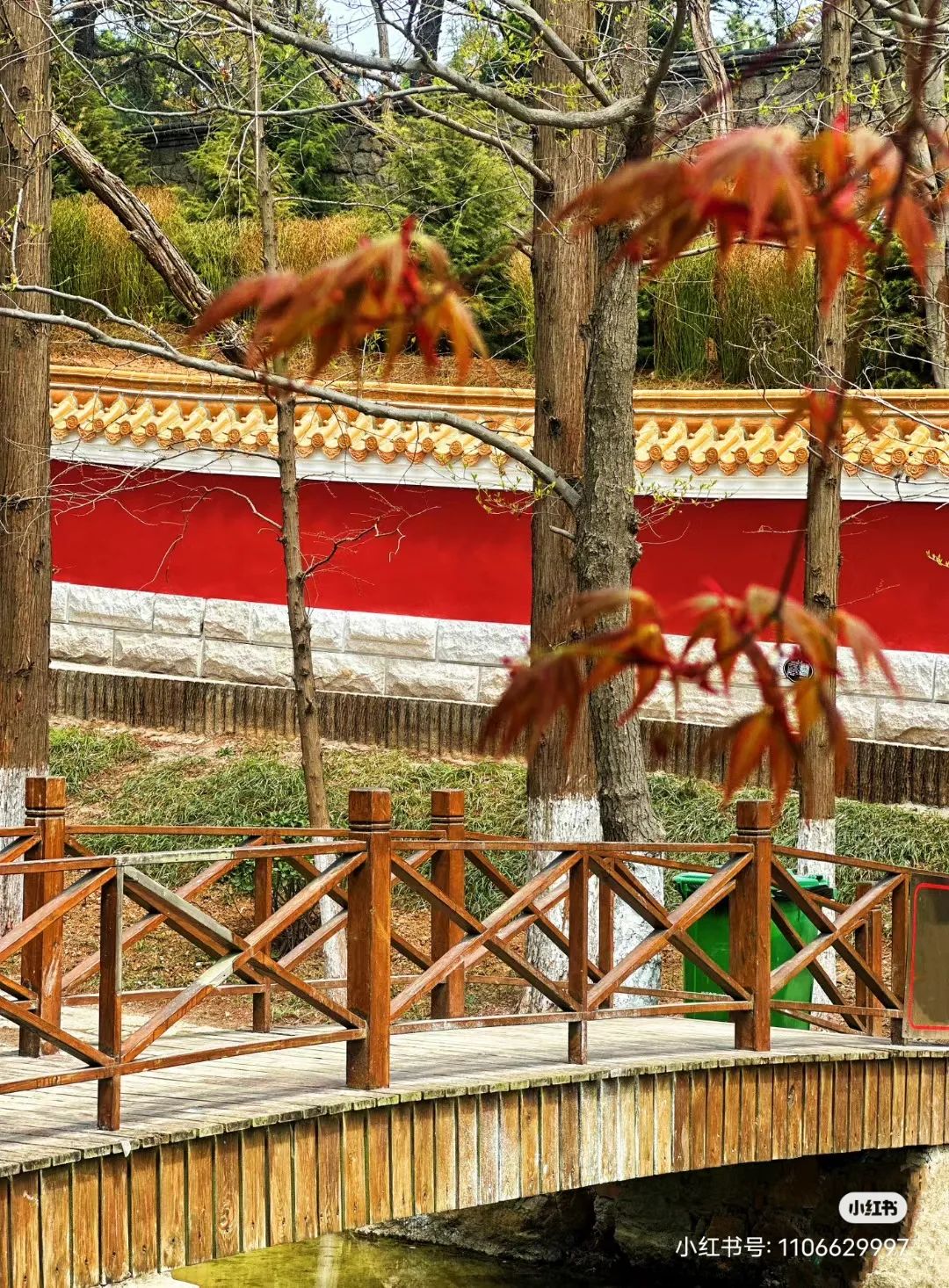 青岛最值得去的拍照打卡地,青岛最适合拍照的十个地方