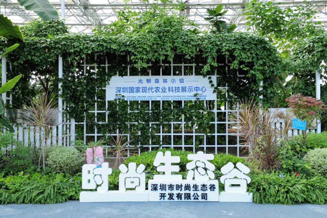 徒步露营带什么好吃的美食,旅行美食露营总有一款能治愈