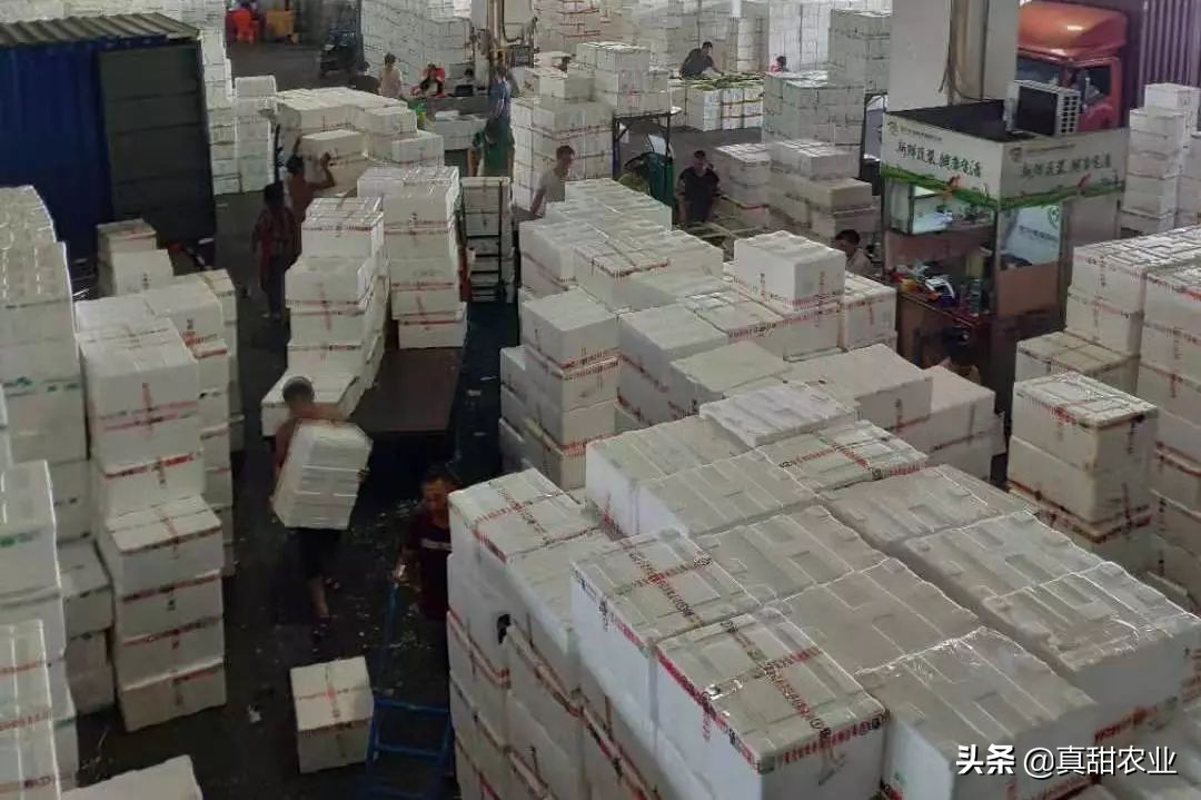 为什么蔬菜市场菜价不稳定,菜价轮番上涨怎么保住