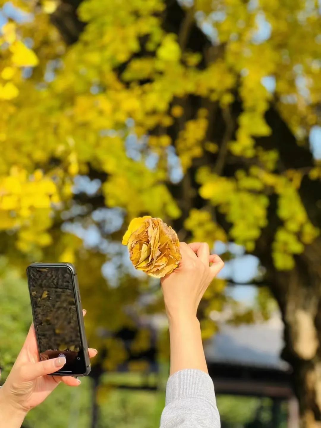 沈阳济州岛汤泉哪个店好,汤泉有什么好玩地方