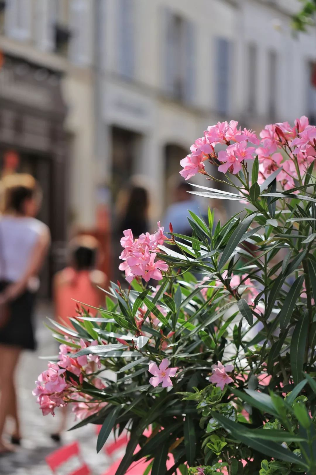浪漫之都巴黎旅拍,浪漫之都巴黎城市