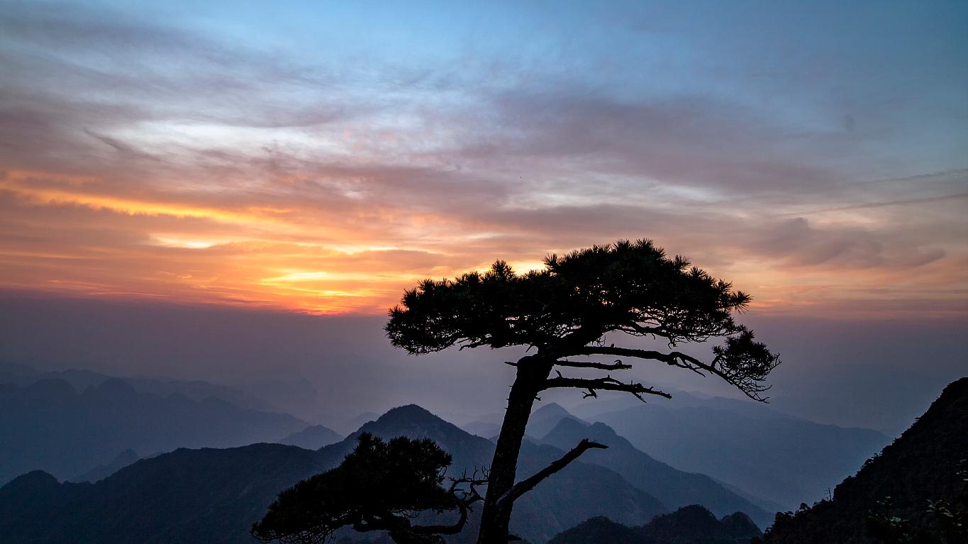 元好问为官避世,元好问以诗存史