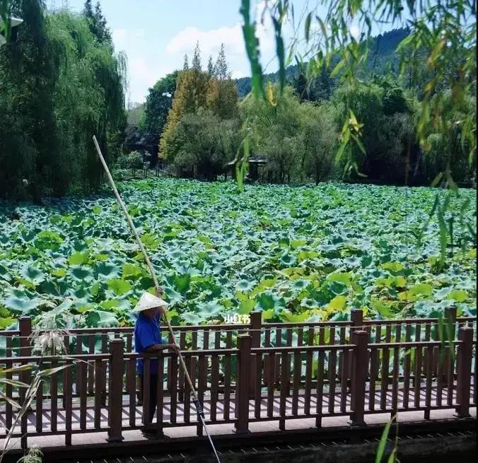 贵阳乌当周围民宿,乌当休闲民宿