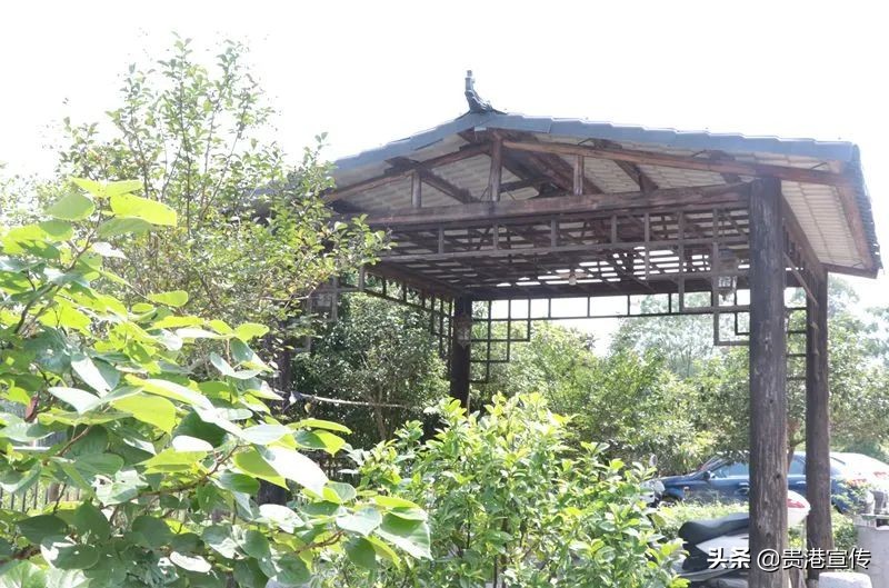 大圩二中06届,大圩二中运动会