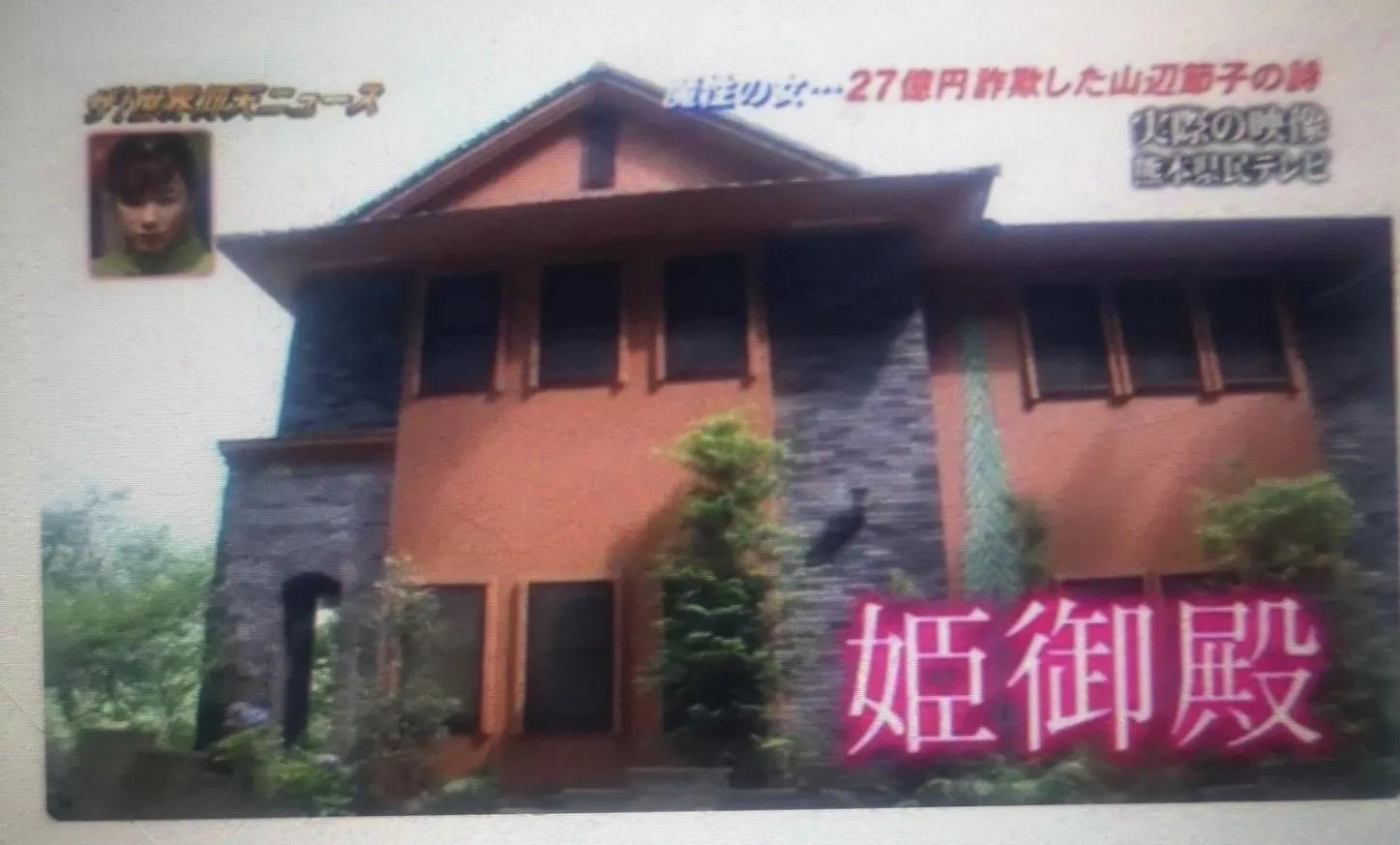 绿茶女诈骗案例,诈骗12亿日本女诈骗犯