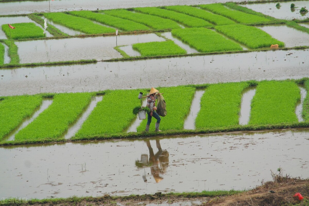 勤劳能致富后半句,勤劳就能致富的话