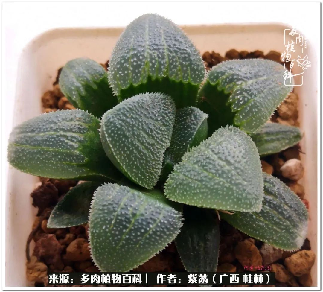 酷暑里的关爱，如十二卷般透亮绵长