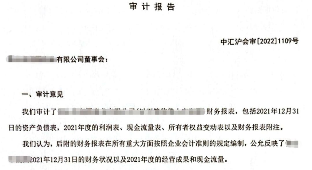 投标用的审计报告一般有什么要求,投标文件中审计报告不清楚