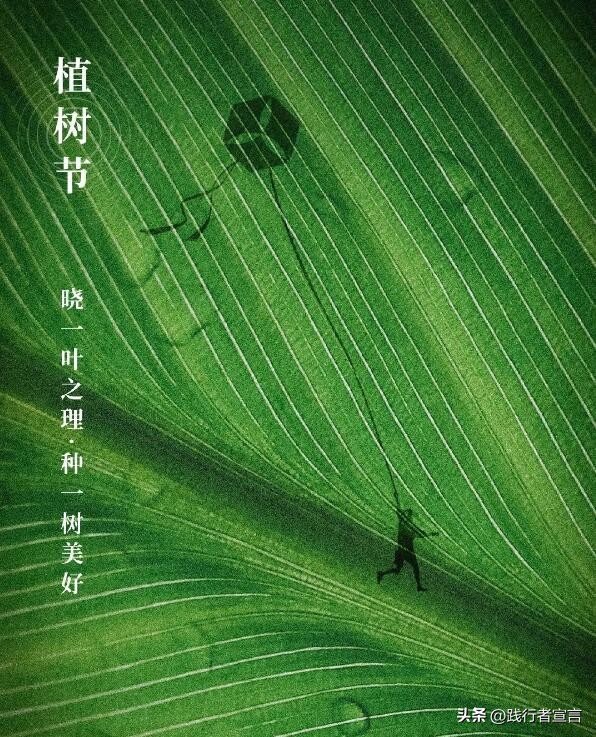 植树节活动策划销售,植树节如何与品牌结合