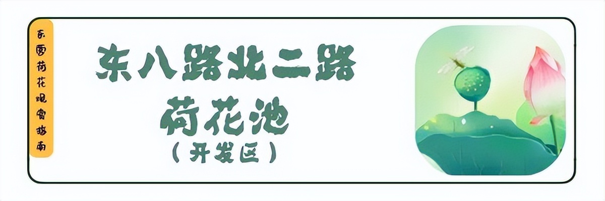 荷你有约环创,荷你有约完整视频