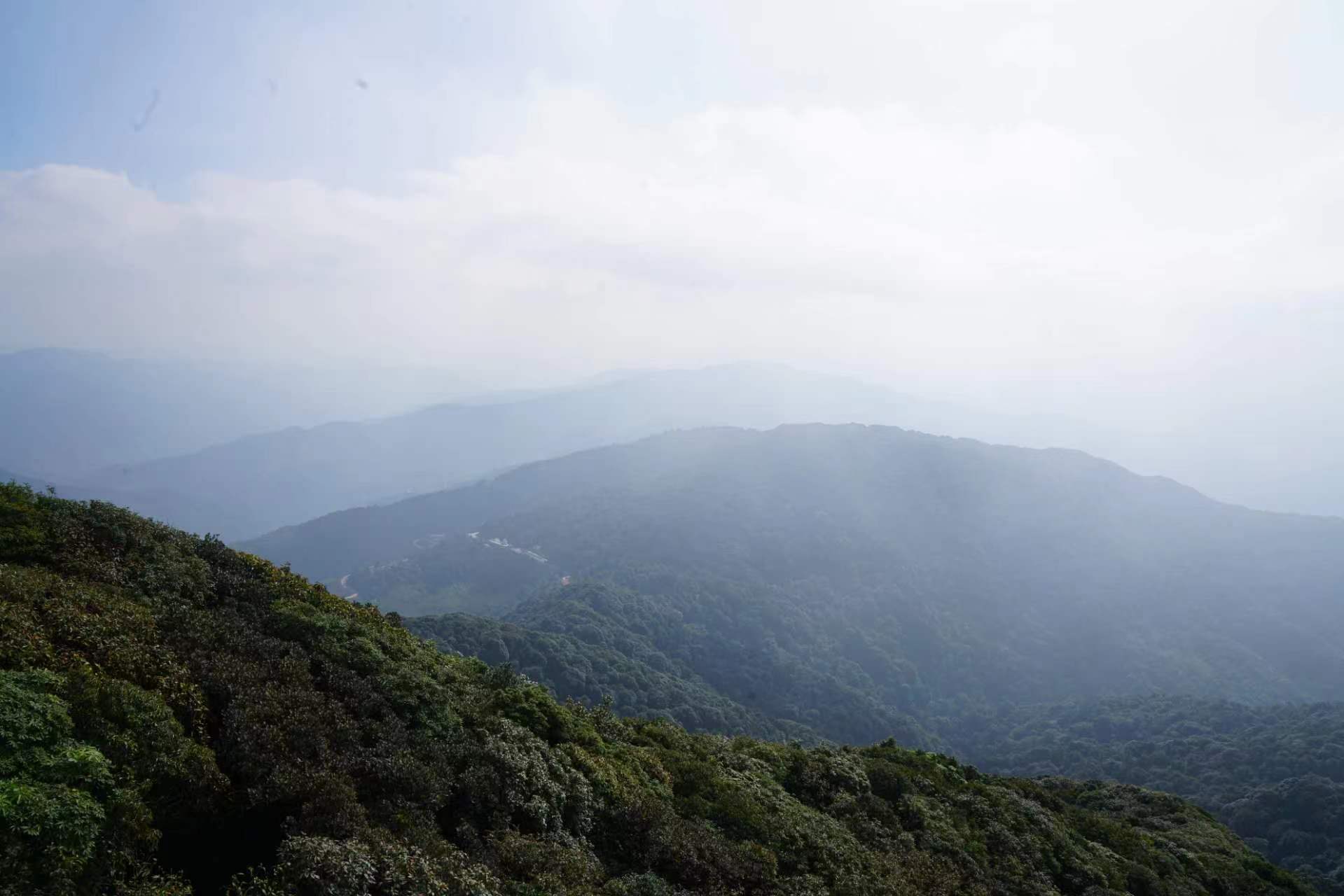 哀牢山金山垭口观景台,哀牢山茶马古道和金山栈道