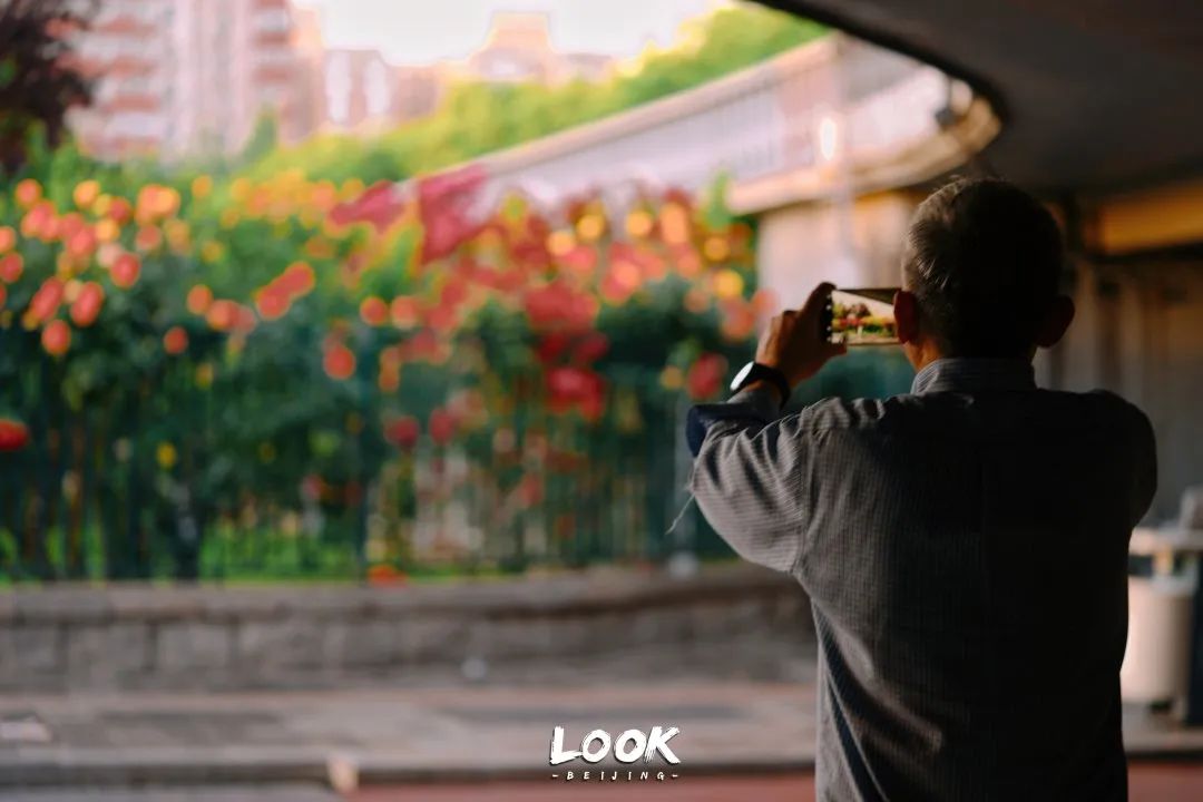 北京居庸关花海栈道,北京四季花海景区