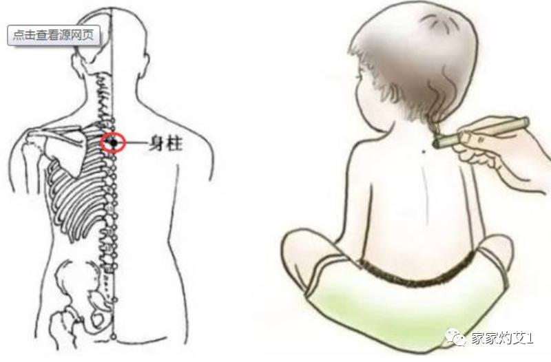 春天艾灸督脉功效,艾灸时如何找准至阳穴位