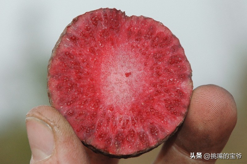 坐拥10亿亩耕地，被誉为非洲心脏的非洲第二大国，8种奇珍异果