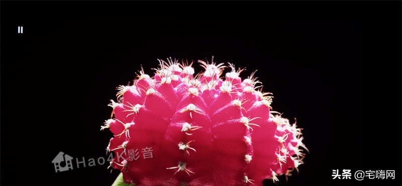 jvc78投影机测评,jvcdla-x500rbe投影机测评