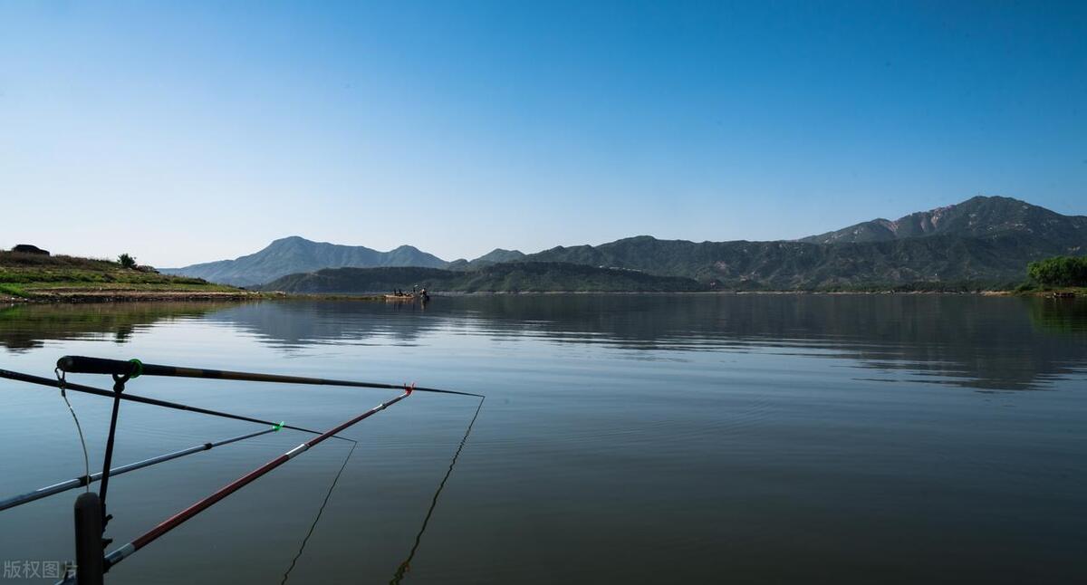 流言终结者（二）：钓竿里的猫腻