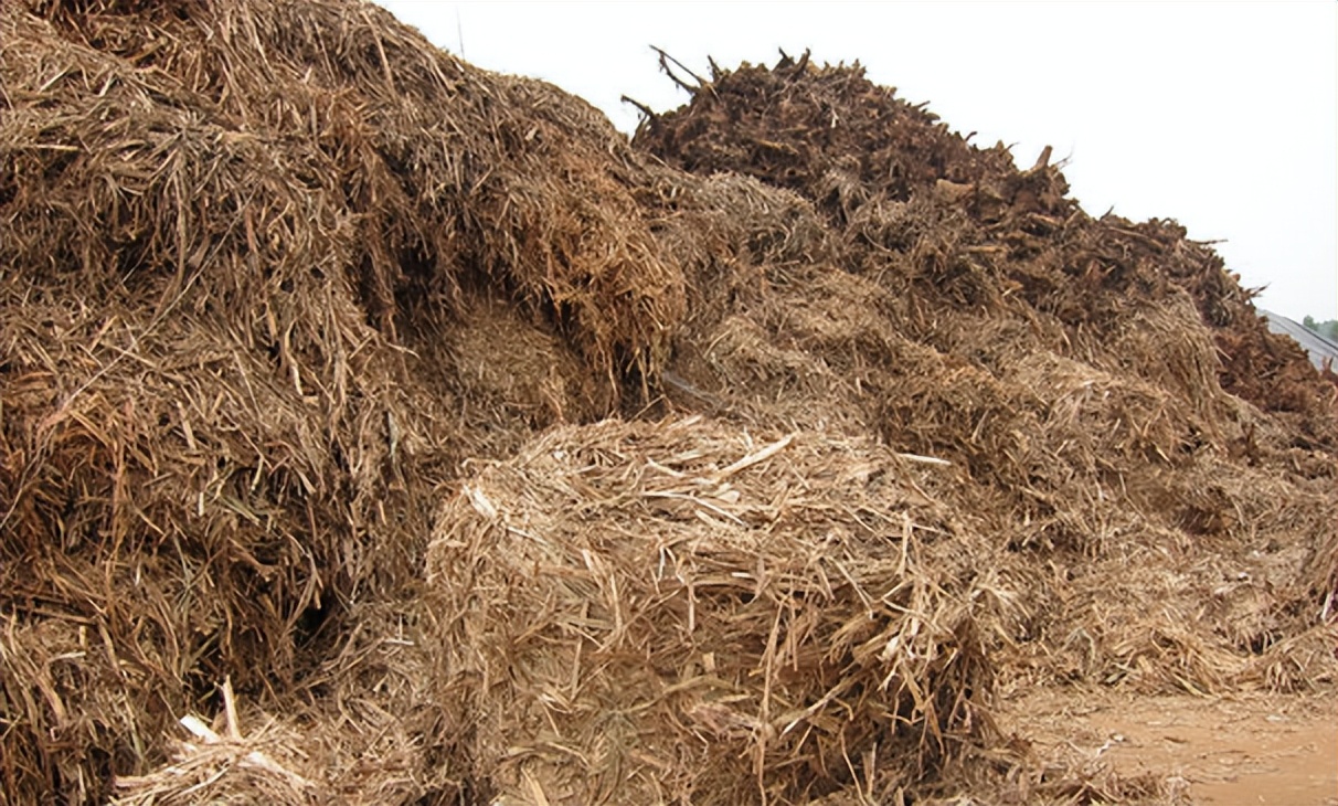 农村要靠什么致富,农村种地靠什么致富