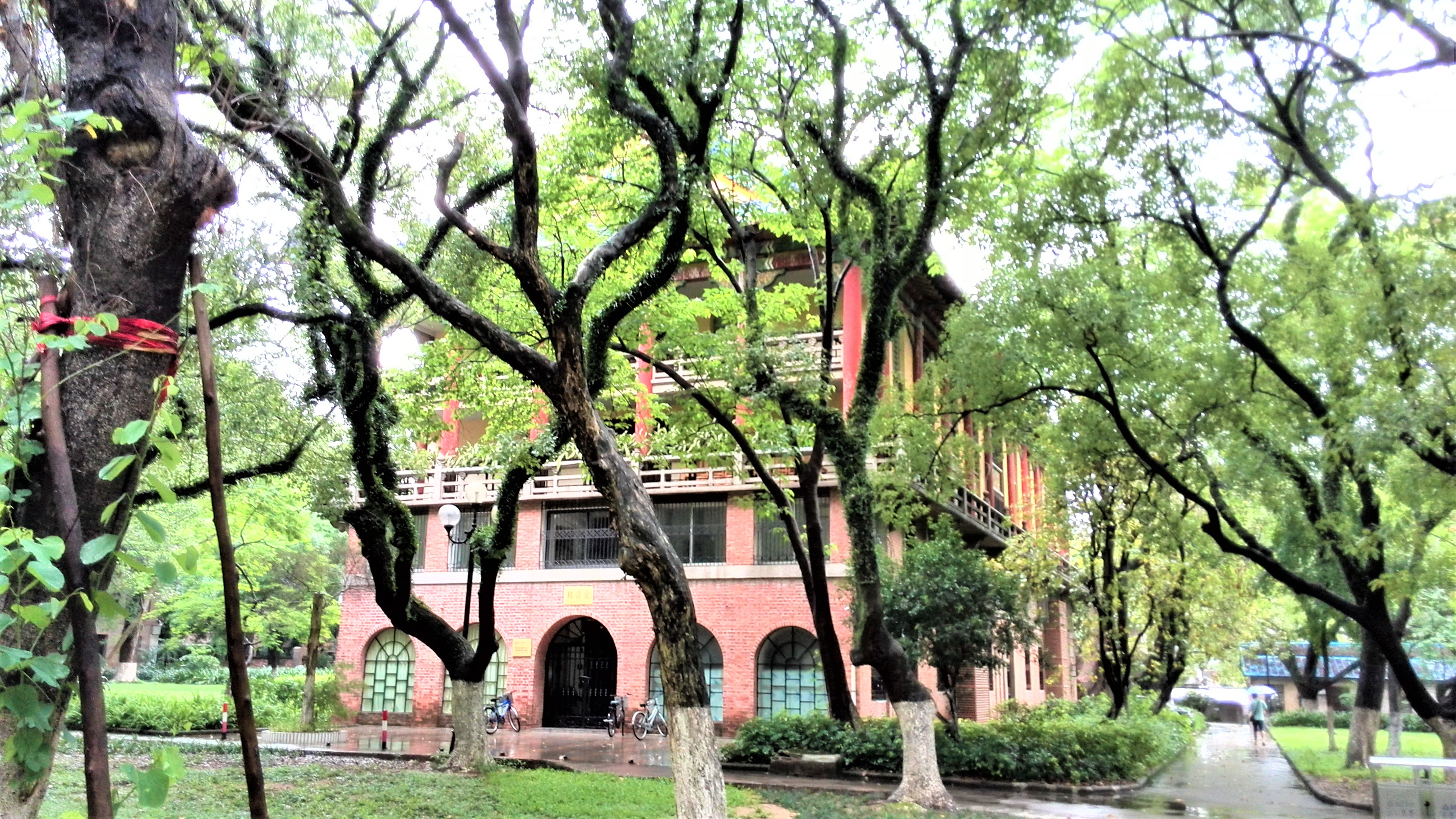 华南第一中山大学,中山大学广东人眼中的清华