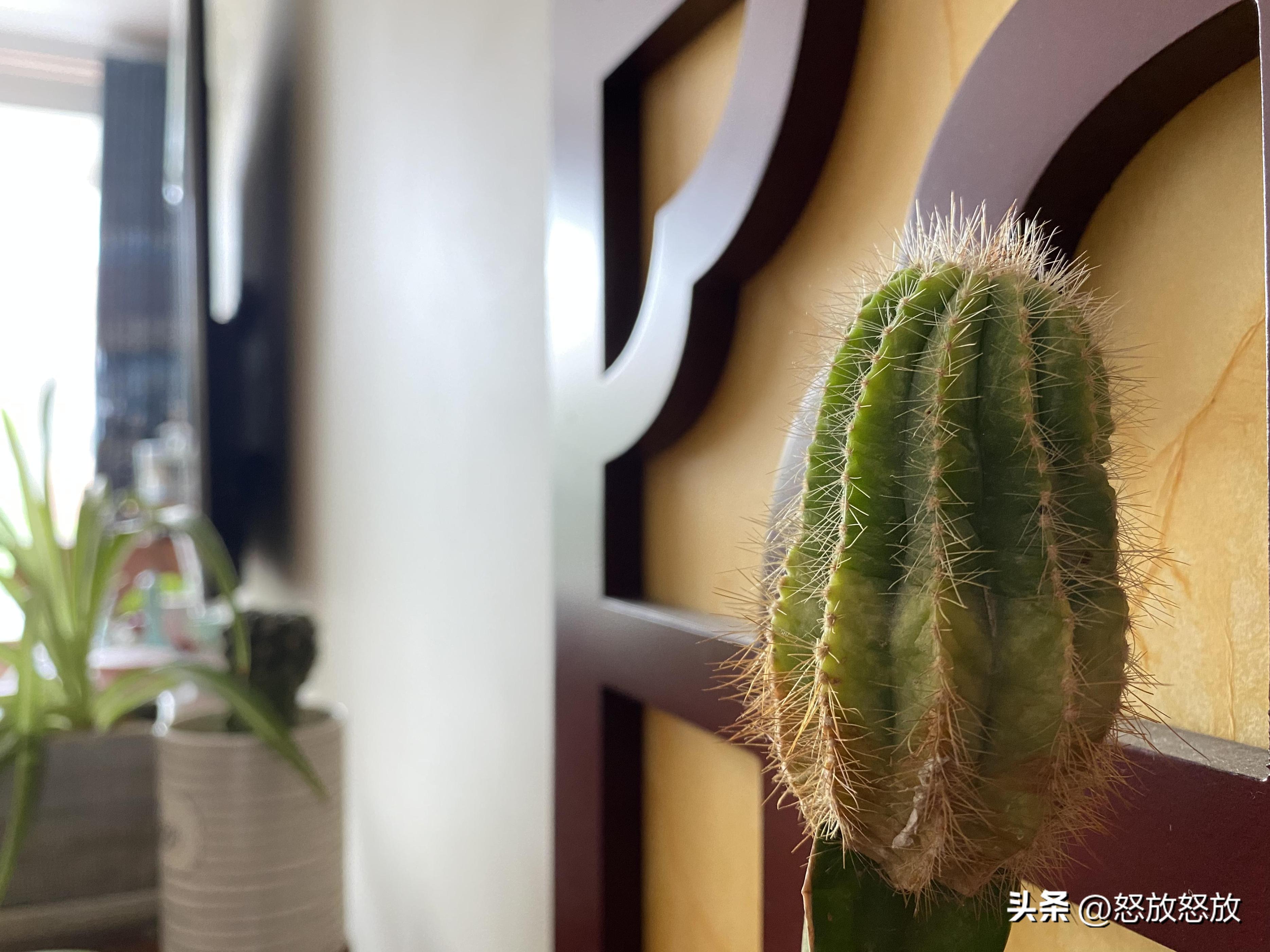 大包公司不和二包公司协商，对客户满应满许怎么办