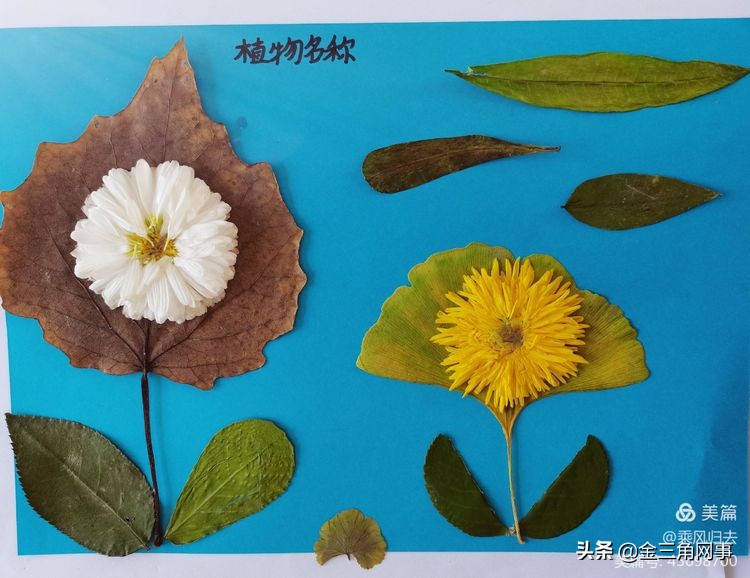 临猗庙上初中推进并践行植物标本课程