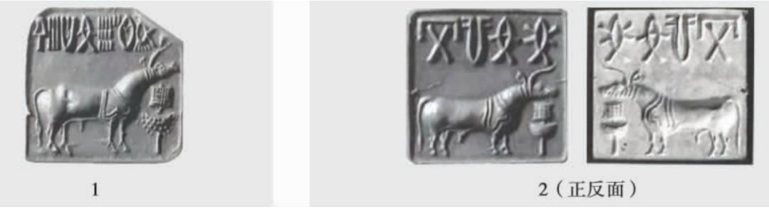 边疆时空书籍推荐,边疆时空图片大全