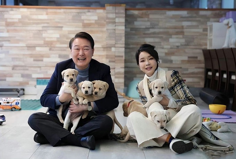 韩国第一夫人穿夏裙,现在流行的韩国第一夫人的穿搭