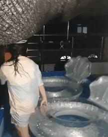 开心一刻一招制敌,开心一刻幽默语句