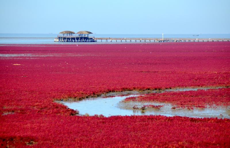 辽宁盘锦在哪个地方,去盘锦旅游哪里好