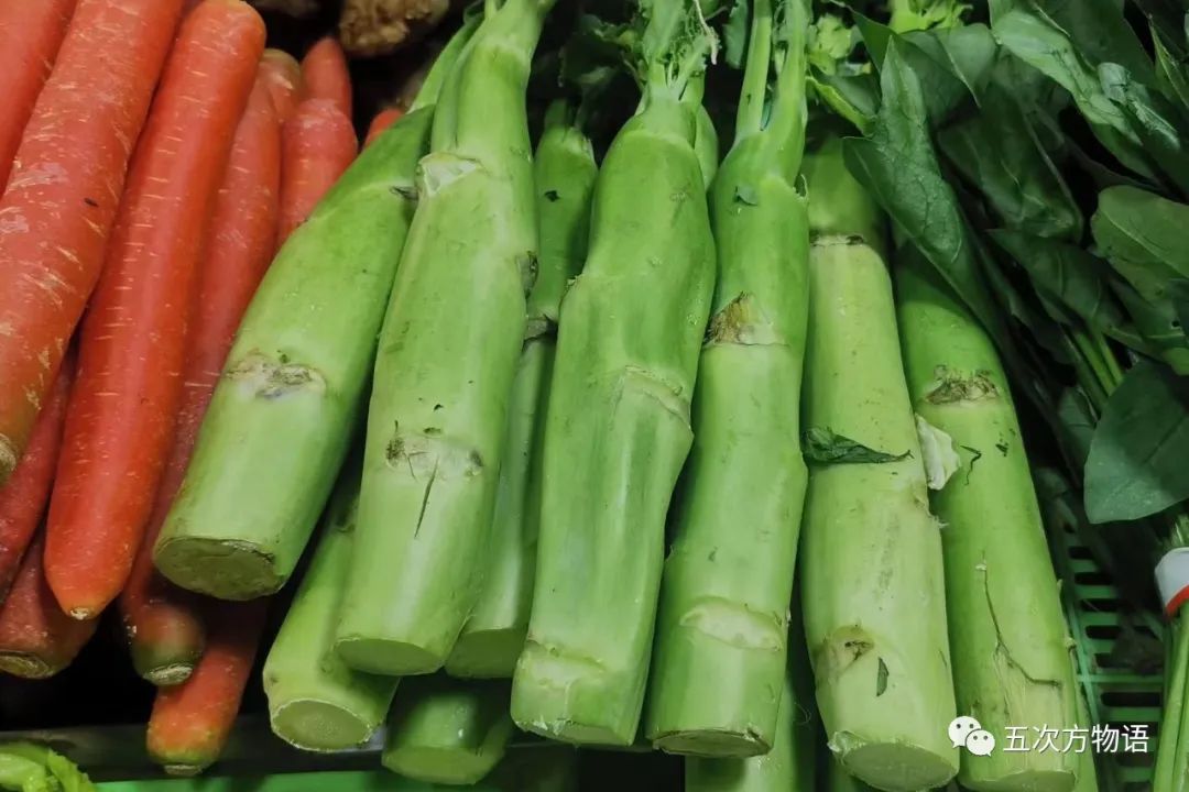 茎菜类蔬菜大全，你全吃过吗？