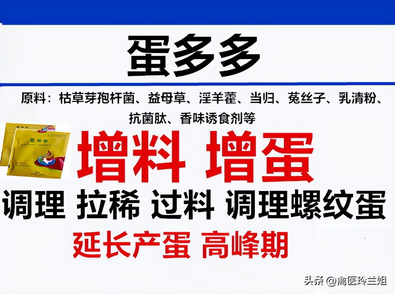 禽医铃兰姐谈鹅夏天不下蛋的根本原因？