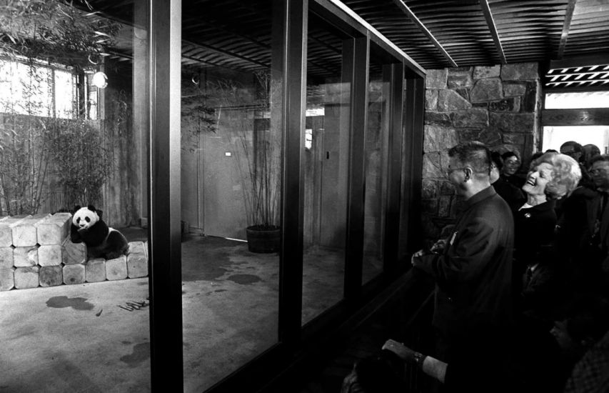 尼克松访华：假装讨要烟盒上的熊猫图案，周总理直接送出两只真的