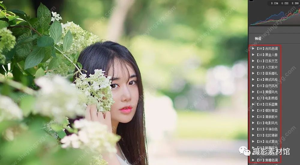 欧美ins风调色预设,psins风调色预设