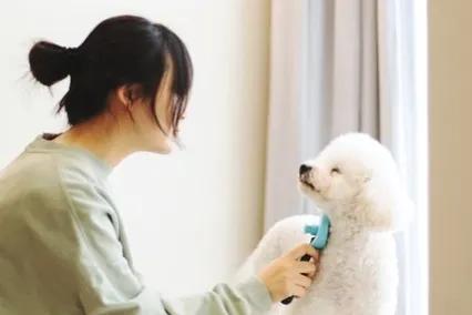 适合女性的小本创业副业小吃,教你小本创业从零开始