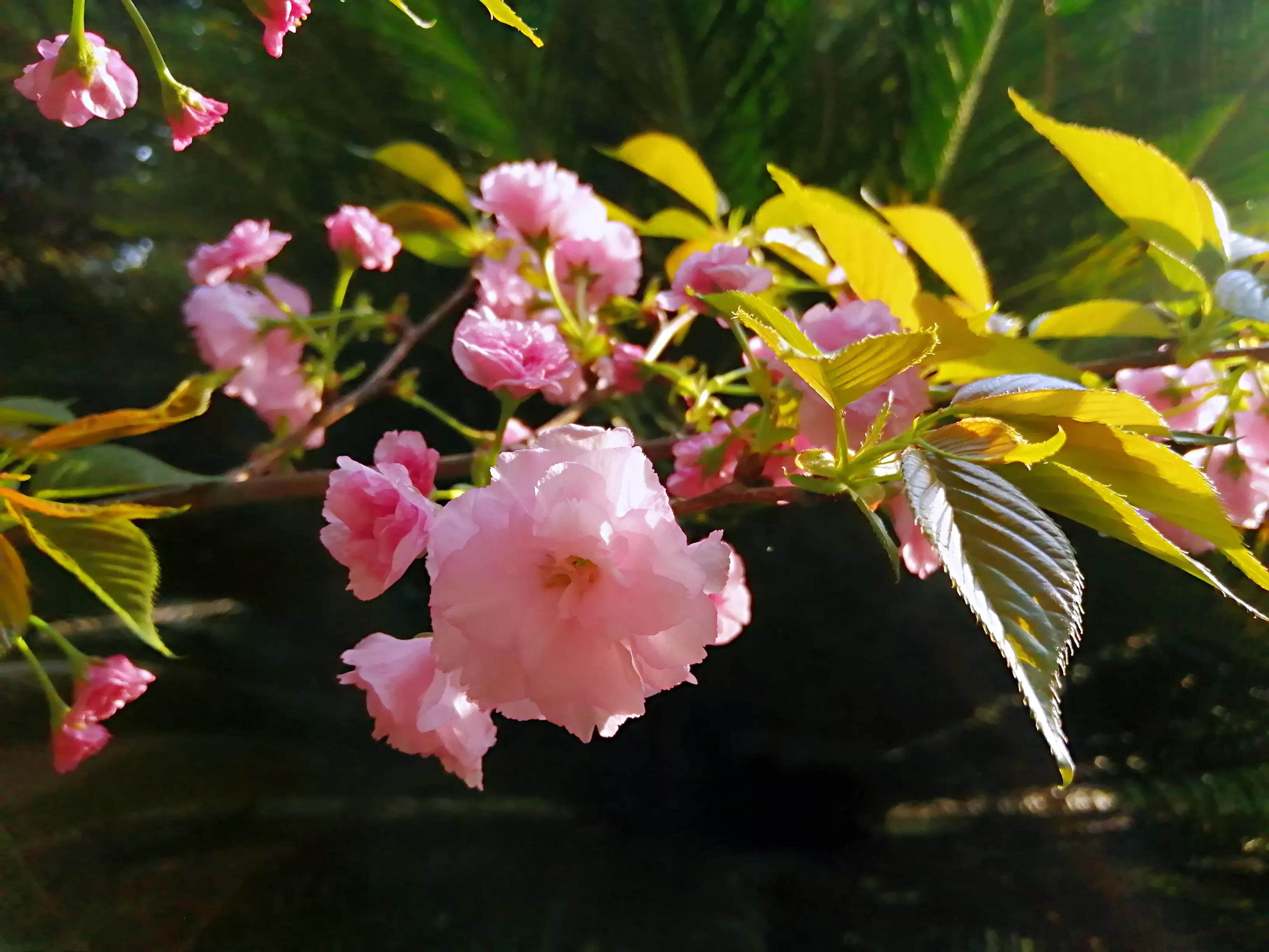 想不通的事情选择放下,想不通的事情暂时放下没事吧