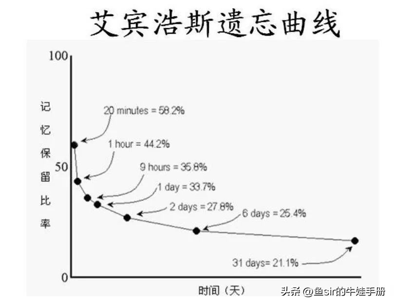 快速背单词的最快方法小学生,背单词的最快有效方法小学生