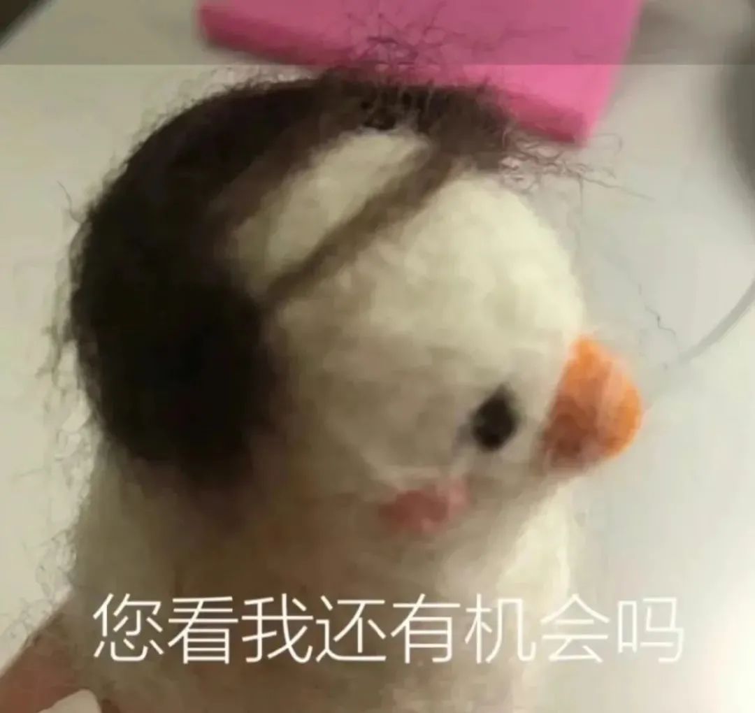 上海学生一身衣服价值127万,上海一学生穿100万衣服真的假的