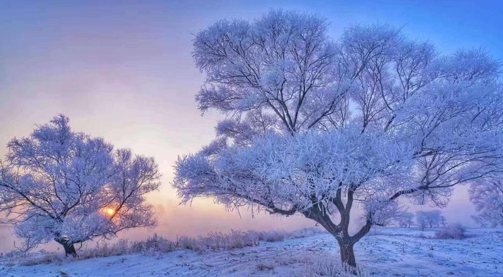 描写雾凇的美景的诗句,最经典的赞美雾凇的诗句