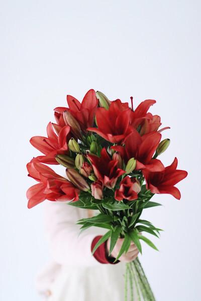 师徒情作文,师徒情深感人的文章