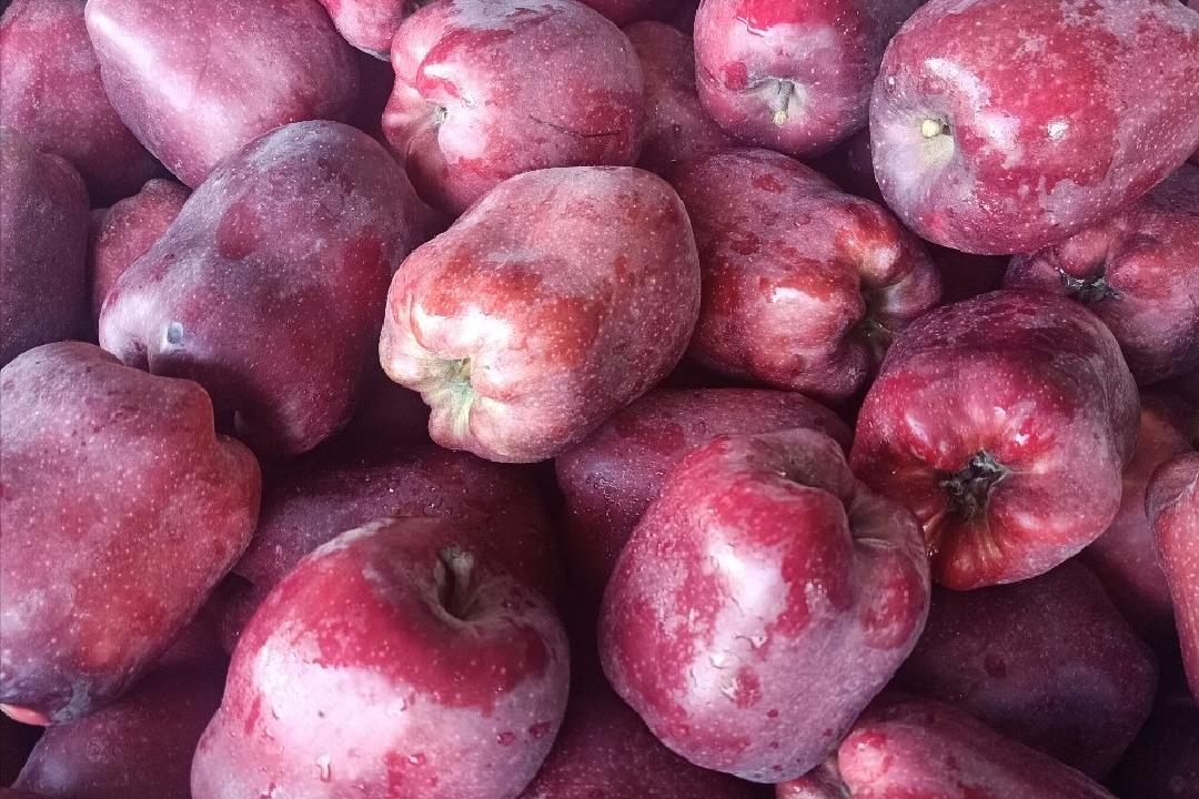 中秋节水果遭遇“中秋劫”，收购商举起价格屠刀，发生了什么？