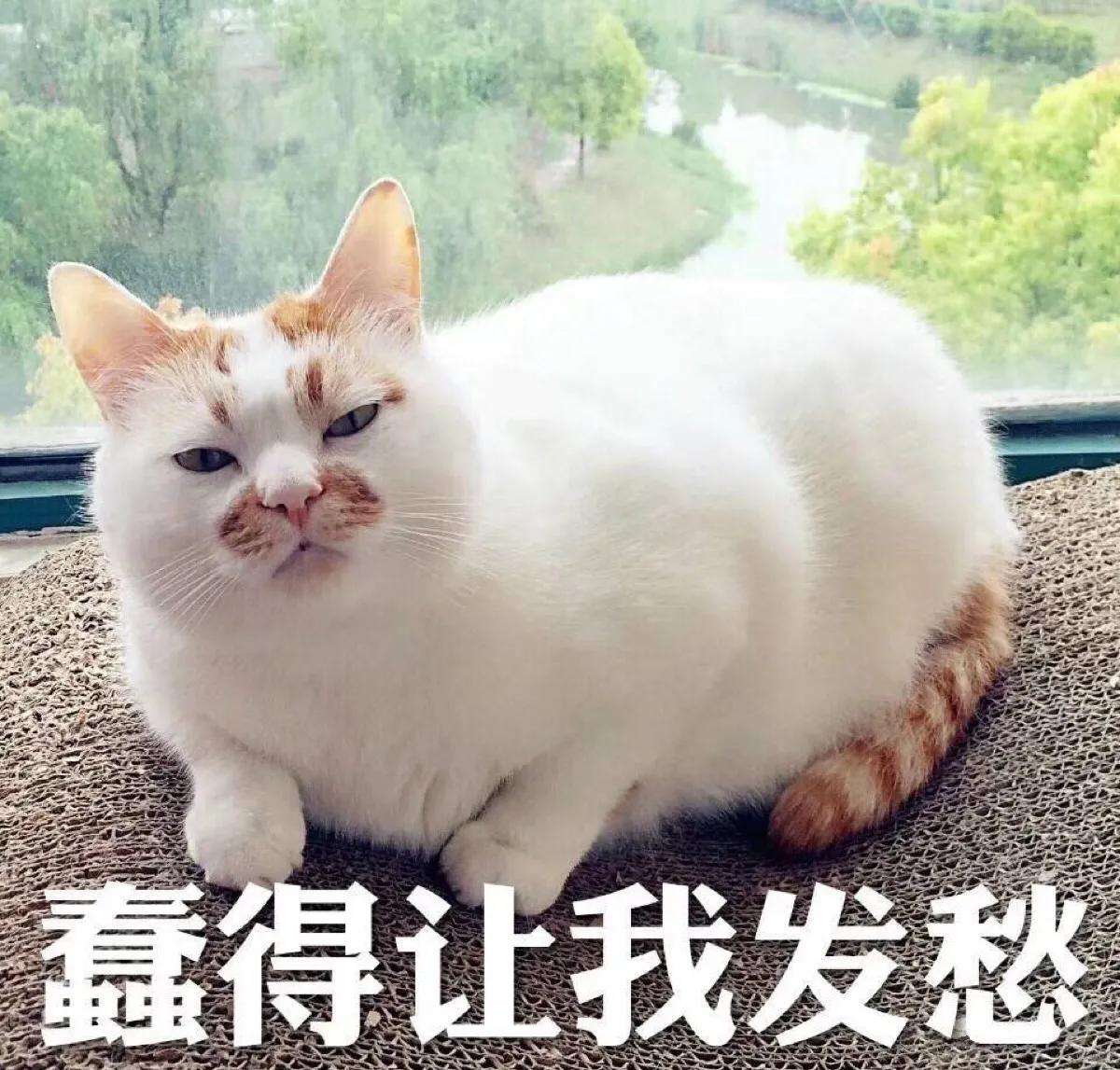 十条笑话套路深,幽默笑话17条